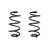 Suspension spring set rear coil spring 303mm SPIDAN for...