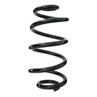Suspension spring set rear coil spring 303mm SPIDAN for...