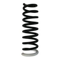 Suspension spring set rear coil spring 328mm SPIDAN for...