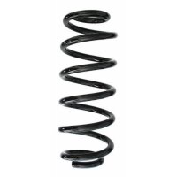 Fahrwerksfeder-Set hinten Schraubenfeder 296mm SPIDAN...