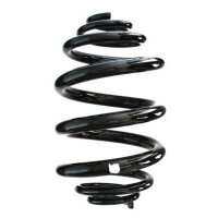 Fahrwerksfeder-Set hinten Schraubenfeder 256mm SPIDAN...