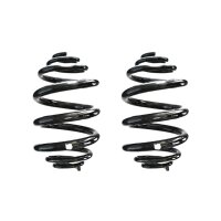Suspension spring set rear coil spring 256mm SPIDAN for...