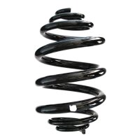 Suspension spring set rear coil spring 256mm SPIDAN for...