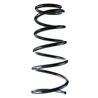 Fahrwerksfeder-Set SPIDAN für FIAT SEDICI (189_)