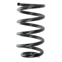 Fahrwerksfedern-Set hinten Schraubenfeder 234mm SPIDAN...