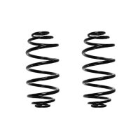 Suspension spring set rear coil spring 300mm SPIDAN for...