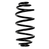 Suspension spring set rear coil spring 300mm SPIDAN for...