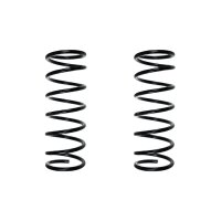Suspension spring set rear coil spring 393mm SPIDAN for...