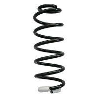 Suspension spring set rear coil spring 319mm SPIDAN for...