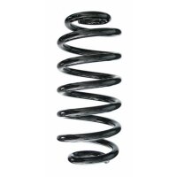 Fahrwerksfeder-Set hinten Schraubenfeder 252mm SPIDAN...