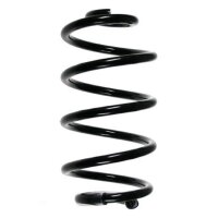 Fahrwerksfeder-Set hinten Schraubenfeder 268mm SPIDAN...