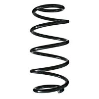 Fahrwerksfeder-Set vorne Schraubenfeder 308mm SPIDAN...