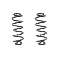 Fahrwerksfeder-Set hinten Schraubenfeder 316mm SPIDAN...