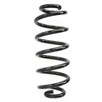Fahrwerksfeder-Set hinten Schraubenfeder 316mm SPIDAN...