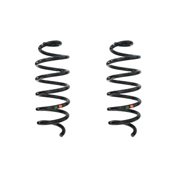 Suspension spring set rear coil spring 290mm SPIDAN for RENAULT