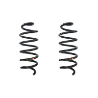 Suspension spring set rear coil spring 290mm SPIDAN for...