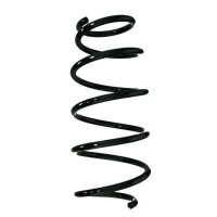 Fahrwerksfeder-Set vorne Schraubenfeder 343mm SPIDAN...