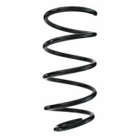 Fahrwerksfeder-Set vorne Schraubenfeder 308mm SPIDAN...
