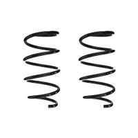 Fahrwerksfeder-Set vorne Schraubenfeder 296mm SPIDAN...