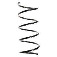 Fahrwerksfeder-Set SPIDAN für MERCEDES C-KLASSE (W203)