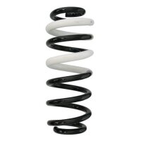 Fahrwerksfeder-Set hinten Schraubenfeder 294mm SPIDAN...
