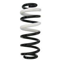 Suspension spring set rear coil spring 294mm SPIDAN for...