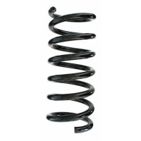 Fahrwerksfeder-Set hinten Schraubenfeder 312mm SPIDAN...