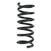 Suspension spring set rear coil spring 312mm SPIDAN for...