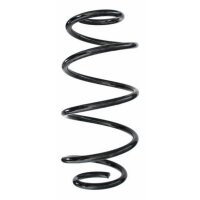 Fahrwerksfeder-Set hinten Schraubenfeder 300mm SPIDAN...