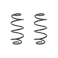 Suspension spring set rear coil spring 300mm SPIDAN for...