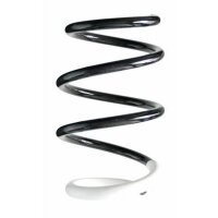 Fahrwerksfeder-Set vorne Schraubenfeder 242mm SPIDAN...