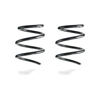 Suspension spring set front coil spring 242mm SPIDAN for...