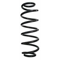 Fahrwerksfeder-Set hinten Schraubenfeder 321mm SPIDAN...