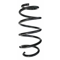 Fahrwerksfeder-Set vorne Schraubenfeder 306mm SPIDAN...