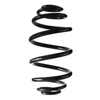 Fahrwerksfeder-Set hinten Schraubenfeder 280mm SPIDAN...