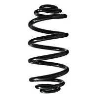 Fahrwerksfeder-Set hinten Schraubenfeder 312mm SPIDAN...