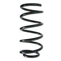 Fahrwerksfeder-Set hinten Schraubenfeder 310mm SPIDAN...