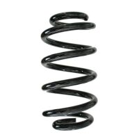 Fahrwerksfeder-Set hinten Schraubenfeder 242mm SPIDAN...