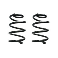 Fahrwerksfeder-Set vorne Schraubenfeder 295mm SPIDAN...