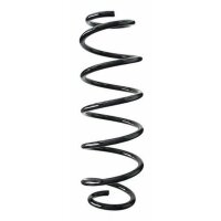 Fahrwerksfeder-Set hinten Schraubenfeder 347mm SPIDAN...