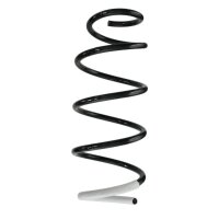 Fahrwerksfedern-Set vorne Schraubenfeder 380mm SPIDAN...