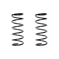 Fahrwerksfedern-Set vorne Schraubenfeder 396mm SPIDAN...