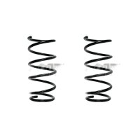 Fahrwerksfeder-Set vorne Schraubenfeder 316mm SPIDAN...