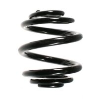 Fahrwerksfeder-Set hinten Schraubenfeder 175mm SPIDAN...