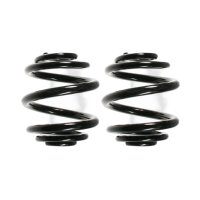 Suspension spring set rear coil spring 175mm SPIDAN for...