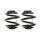 Fahrwerksfeder-Set hinten Schraubenfeder 175mm SPIDAN für AUDI TT (8N3)