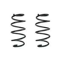 Fahrwerksfeder-Set vorne Schraubenfeder 304mm SPIDAN...