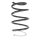 Suspension spring set front coil spring 312mm SPIDAN for RENAULT MEGANE