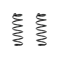 Fahrwerksfeder-Set hinten Schraubenfeder 364mm SPIDAN...