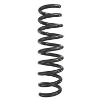 Fahrwerksfeder-Set hinten Schraubenfeder 317mm SPIDAN...